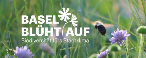 Basel blüht auf. Eine Awareness-Kampagne von Birdlife und Basler Kantonalbank
