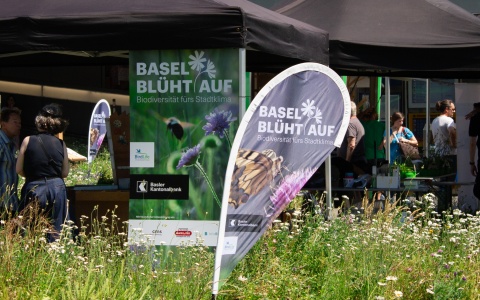Awareness-Kampagne von BirdLife und der Basler Kantonalbank